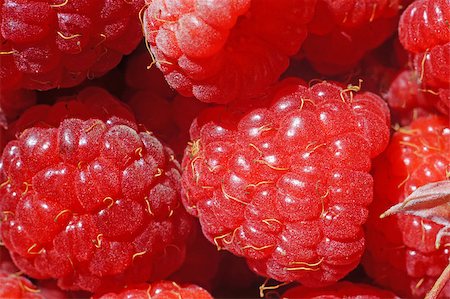 simsearch:400-07667203,k - Ripe raspberry as a background extreme close-up (macro) Stock Photo - Budget Royalty-Free & Subscription, Code: 400-07660150