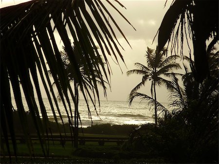 simsearch:400-07661392,k - Goa, India during Monsoon Photographie de stock - Aubaine LD & Abonnement, Code: 400-07661391