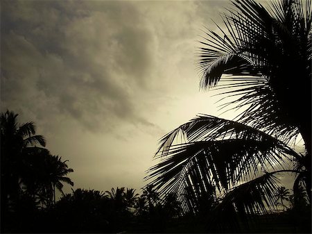 simsearch:400-07661392,k - Goa, India during Monsoon Photographie de stock - Aubaine LD & Abonnement, Code: 400-07661392