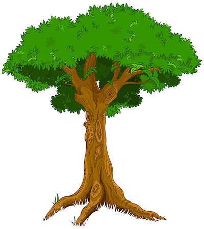 Illustration of majestic tree Stock Photo - Budget Royalty-Free & Subscription, Code: 400-07661426