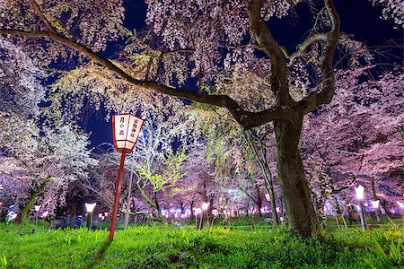 simsearch:400-05924770,k - Kyoto, Japan at Hirano Temple festival grounds in spring. The lantern reads "Moonrise, Hirano Temple" Photographie de stock - Aubaine LD & Abonnement, Code: 400-07661830