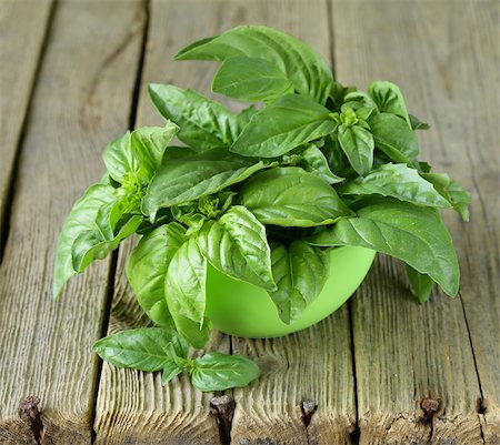 simsearch:400-07578178,k - fresh green basil on a wooden background Stock Photo - Budget Royalty-Free & Subscription, Code: 400-07662161
