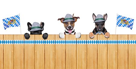 simsearch:400-08163219,k - three bavarian  dogs behind a fence Photographie de stock - Aubaine LD & Abonnement, Code: 400-07662308