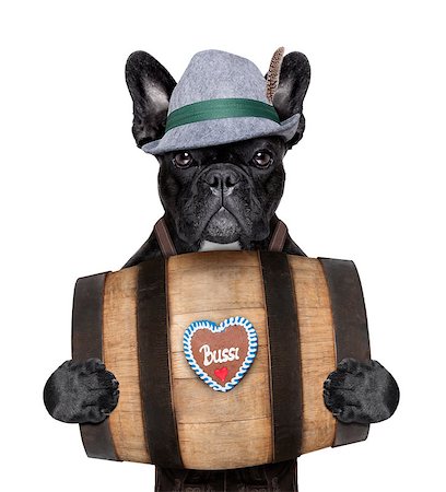 simsearch:400-08163219,k - bavarian  dog holding a beer barrel with gingerbread heart Photographie de stock - Aubaine LD & Abonnement, Code: 400-07662309