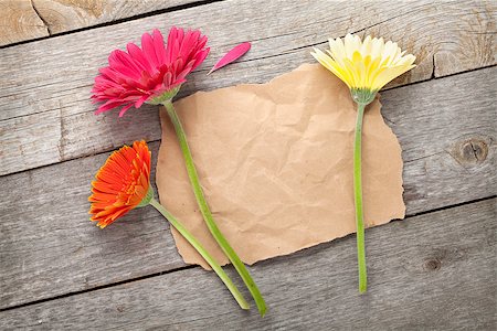 simsearch:400-08298802,k - Three colorful gerbera flowers with paper for copy space on wooden table Photographie de stock - Aubaine LD & Abonnement, Code: 400-07662542