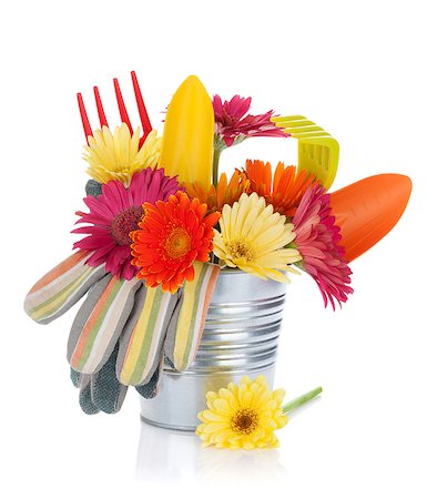 simsearch:400-08252596,k - Colorful flowers and garden tools. Isolated on white background Photographie de stock - Aubaine LD & Abonnement, Code: 400-07662550