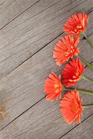 simsearch:400-08298802,k - Wooden background with orange gerbera flowers and copy space Photographie de stock - Aubaine LD & Abonnement, Code: 400-07662624
