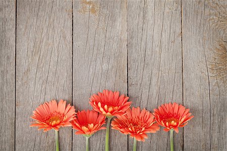 simsearch:400-08298802,k - Wooden background with orange gerbera flowers and copy space Photographie de stock - Aubaine LD & Abonnement, Code: 400-07662623