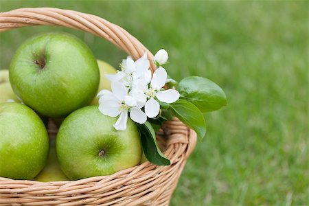 simsearch:825-03626863,k - Ripe green apples with flowers in basket on green grass. Closeup Stock Photo - Budget Royalty-Free & Subscription, Code: 400-07662728