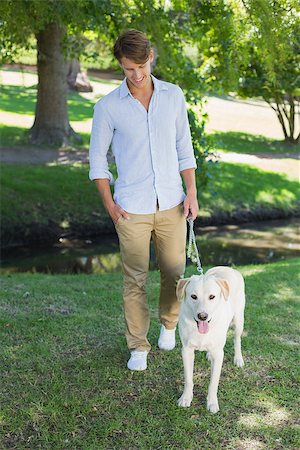 Handsome smiling man walking his labrador in the park on a sunny day Stock Photo - Budget Royalty-Free & Subscription, Code: 400-07663766