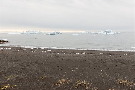 disko island - Black beach and icebergs on Disko Island in Greenland Stock Photo - Budget Royalty-Free & Subscription, Code: 400-07675612