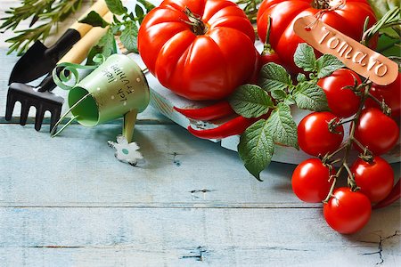 Fresh ripe tomatoes and gardening tools on an old wooden board. Stock Photo - Budget Royalty-Free & Subscription, Code: 400-07675910