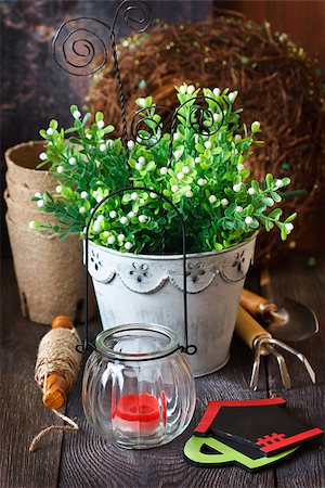 simsearch:693-03617095,k - Rustic gardening tools and candle on the old wooden board in the garden. Photographie de stock - Aubaine LD & Abonnement, Code: 400-07675945