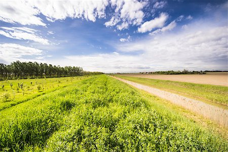 starmaro (artist) - panorama of countryside in the natural reserve of the "Dosolo" near Bologna in Italy during a sunny day Stock Photo - Budget Royalty-Free & Subscription, Code: 400-07677228