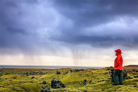 A woman is looking over an old moss-covered lava field in Iceland Stock Photo - Budget Royalty-Free & Subscription, Code: 400-07677279