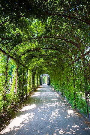 simsearch:400-04499588,k - Walkway under a green natural tunnel Fotografie stock - Microstock e Abbonamento, Codice: 400-07678599