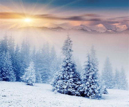 simsearch:400-04765849,k - Majestic sunset in the winter mountains landscape. Dramatic sky. Foto de stock - Royalty-Free Super Valor e Assinatura, Número: 400-07678877