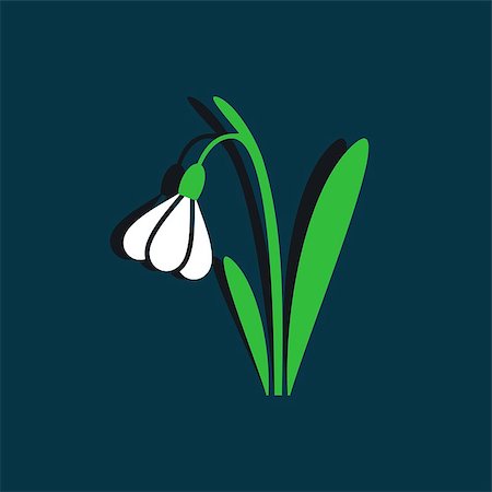 simsearch:400-07676525,k - Green and white snowdrop vector illustration on blue Stock Photo - Budget Royalty-Free & Subscription, Code: 400-07679618
