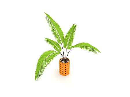 3d rendered exotic decorative plant isolated on white. Stock Photo - Budget Royalty-Free & Subscription, Code: 400-07679947