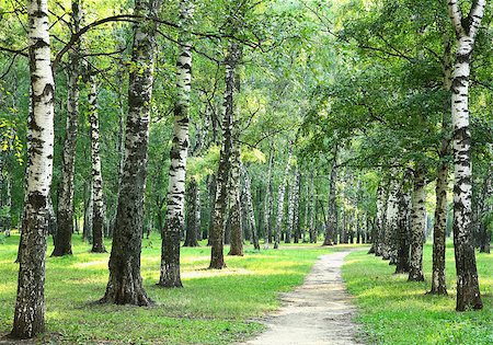 elenakovaleva (artist) - Evening summer city park with sun beams Stockbilder - Microstock & Abonnement, Bildnummer: 400-07670090