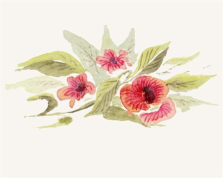 simsearch:400-07680595,k - Watercolor flowers. Vector illustration. Foto de stock - Royalty-Free Super Valor e Assinatura, Número: 400-07670173