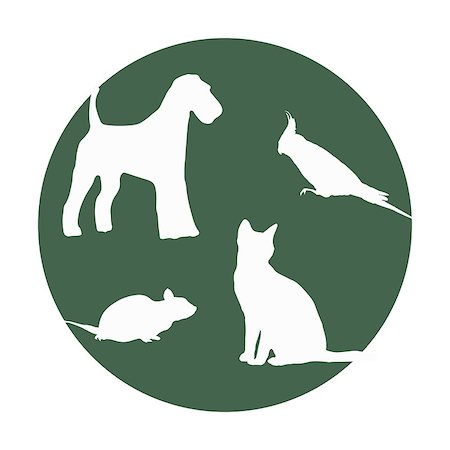 simsearch:400-08346248,k - Silhouettes of of pets in a round frame. Vector illustration. Stock Photo - Budget Royalty-Free & Subscription, Code: 400-07670584