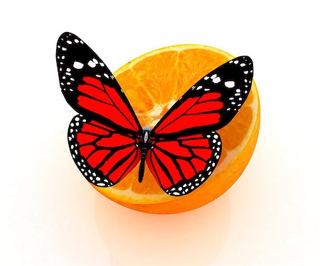 simsearch:400-07680450,k - Red butterflys on a half oranges on a white background Foto de stock - Super Valor sin royalties y Suscripción, Código: 400-07680409