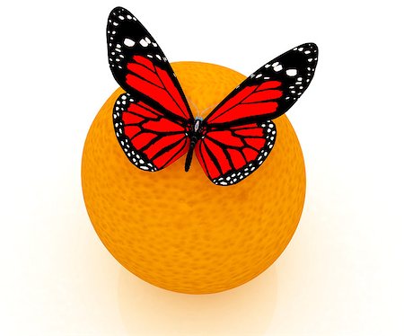 simsearch:400-07680450,k - Red butterflys on a oranges on a white background Photographie de stock - Aubaine LD & Abonnement, Code: 400-07680410