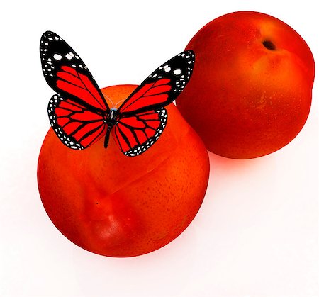 simsearch:400-07680450,k - Red butterflys on a fresh peaches on a white background Foto de stock - Super Valor sin royalties y Suscripción, Código: 400-07680411