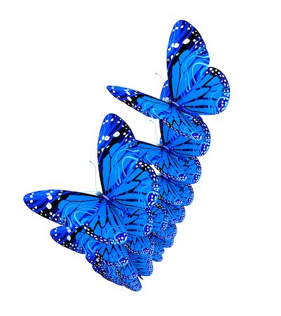 Butterflies on a white background Stock Photo - Budget Royalty-Free & Subscription, Code: 400-07680448