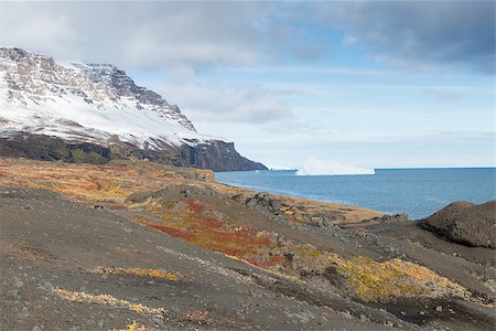 disko island - Arctic landscape on disko island in greenland with mountain and vegetation Stock Photo - Budget Royalty-Free & Subscription, Code: 400-07680596