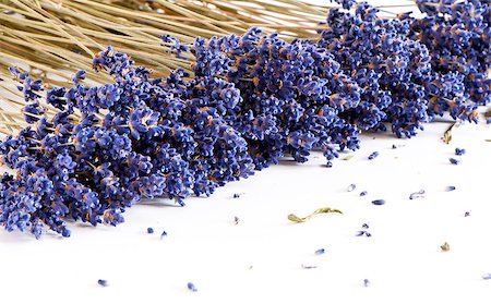 simsearch:400-06069986,k - A shot of dried lavender on the white background Stock Photo - Budget Royalty-Free & Subscription, Code: 400-07680592