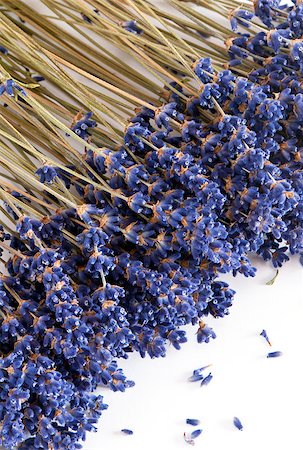 simsearch:400-06069986,k - A shot of dried lavender on the white background Stock Photo - Budget Royalty-Free & Subscription, Code: 400-07680593