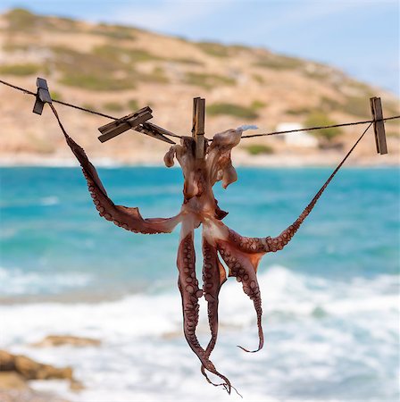 sun drying - Drying octopus on sun. This method of drying is one that has been used for centuries. Better to dry octopus for grilling. Crete, Greece. Stock Photo - Budget Royalty-Free & Subscription, Code: 400-07681177