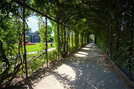 simsearch:400-04499588,k - Walkway under a green natural tunnel of leafs on garden Fotografie stock - Microstock e Abbonamento, Codice: 400-07681667