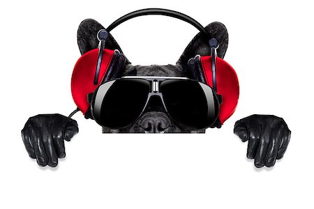 cool dj dog listening to music behind a white and blank banner or placard Stock Photo - Budget Royalty-Free & Subscription, Code: 400-07681960