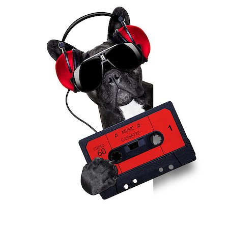 dj dog playing music cassette beside a white and blank empty banner or placard Stock Photo - Budget Royalty-Free & Subscription, Code: 400-07681963