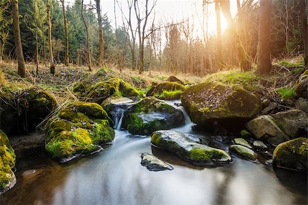 Falls on the small mountain river in a wood in spring with light leak and sun flare Foto de stock - Super Valor sin royalties y Suscripción, Código: 400-07682260