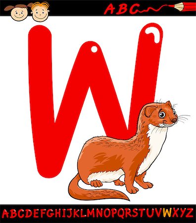 simsearch:400-07682433,k - Cartoon Illustration of Capital Letter W from Alphabet with Weasel Animal for Children Education Stock Photo - Budget Royalty-Free & Subscription, Code: 400-07682432