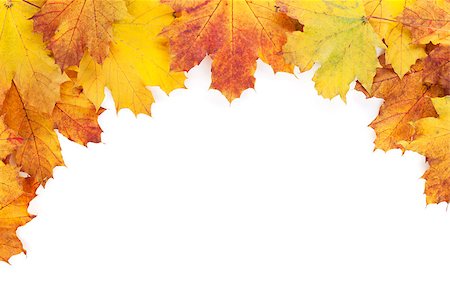 simsearch:400-04651966,k - Colorful autumn maple leaves frame. Isolated on white background Foto de stock - Super Valor sin royalties y Suscripción, Código: 400-07714984