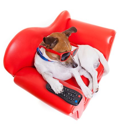 simsearch:400-07055954,k - dog watching tv or a movie sitting on a red sofa or couch  with remote control changing the channels Stockbilder - Microstock & Abonnement, Bildnummer: 400-07715177