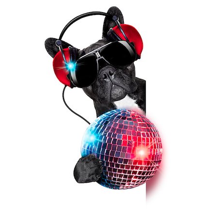 dj dog listening to music behind an empty and blank banner with a fancy disco ball and lights Stock Photo - Budget Royalty-Free & Subscription, Code: 400-07715173