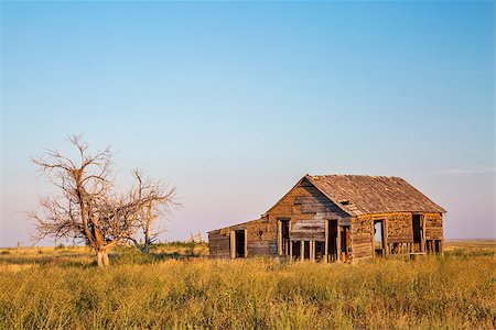 old abandoned homestead with hawk nests on eastern Colorado prairie near Galeton in sunset light Stock Photo - Budget Royalty-Free & Subscription, Code: 400-07715384