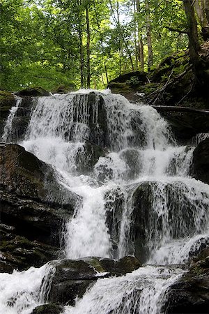 The Shypit waterfall in Carpathian mountains, Ukraine Stockbilder - Microstock & Abonnement, Bildnummer: 400-07715466