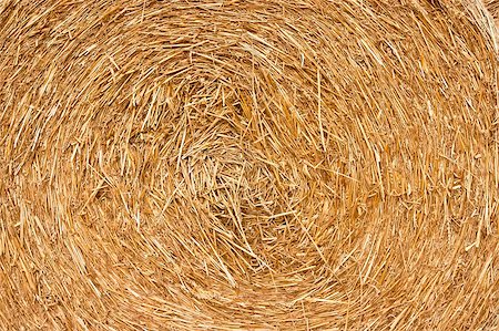 simsearch:400-07717781,k - Golden hay background, bale, straw, haystack, yellow Fotografie stock - Microstock e Abbonamento, Codice: 400-07717780