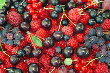 saskatoon - Assorted berries (raspberries, black and red currants, Saskatoon, cherry, gooseberry) as background Fotografie stock - Microstock e Abbonamento, Codice: 400-07717933