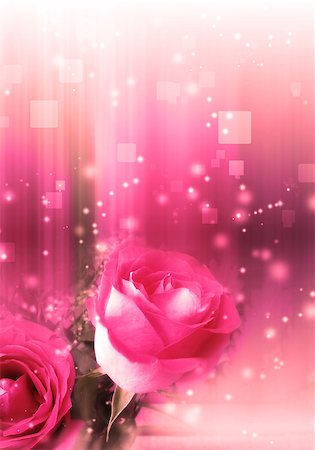 plant abstract focus - Soft illustration with roses with magic light background. Stock Photo - Budget Royalty-Free & Subscription, Code: 400-07718210