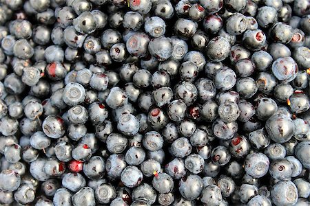 Ripe juicy navy blue blackberries textured background Stockbilder - Microstock & Abonnement, Bildnummer: 400-07718790