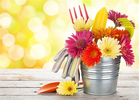 simsearch:400-08252596,k - Colorful flowers and garden tools on wooden table with sunny bokeh Photographie de stock - Aubaine LD & Abonnement, Code: 400-07719035