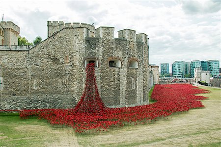 Display of ceramic poppies commemorating the centenary of the start of the First World War, with the poppies representing military personnel killed during the War. Foto de stock - Super Valor sin royalties y Suscripción, Código: 400-07719270